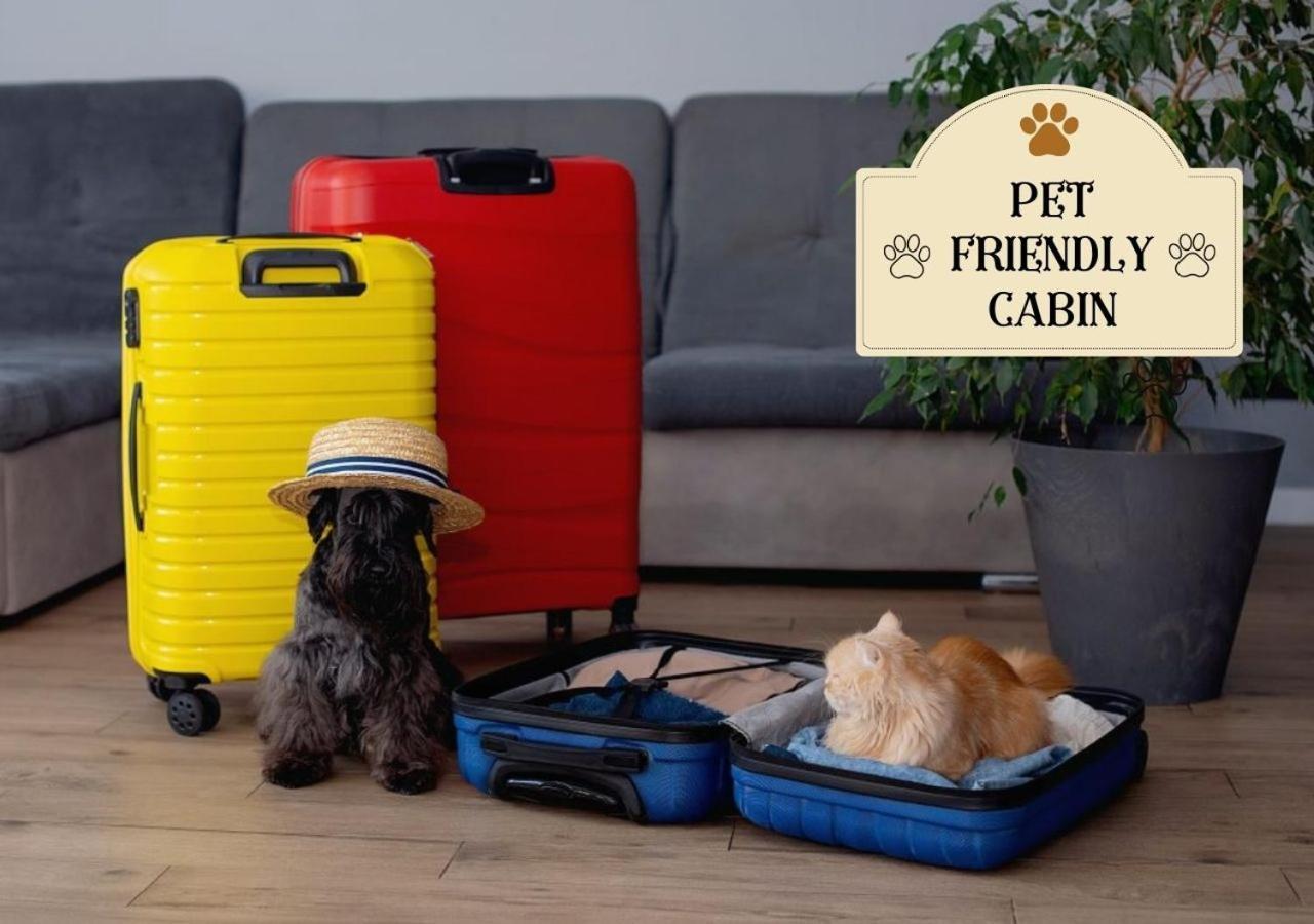 Fabulous Pet-Friendly, Family Cabin With Outdoor Kitchen, Hot Tub, Sauna, Fireplace, Theater Room, Arcade, Pool Table, And Fire Pit Within Minuties Of Dollywood Sevierville Eksteriør billede